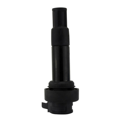 IGN STICK COIL BMW K 1600 BAGGER 17-21'
