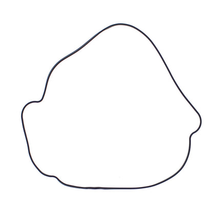 Outer Clutch Gasket Kit 817987
